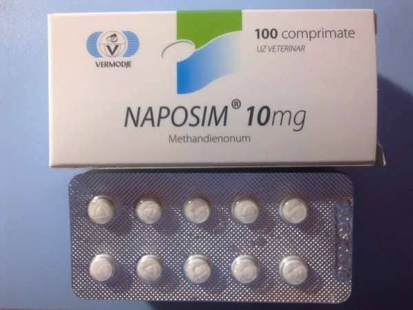 köp kvalitet Naposim Methandienone 10 mg online